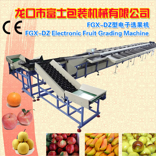 富士 水果清洗打蜡分选机 砂橘火龙果重量分拣机 运行高效 源头厂