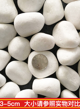 40斤白色石子景观石头大小鹅卵石庭院铺路铺地阳台花园Z枯山水造