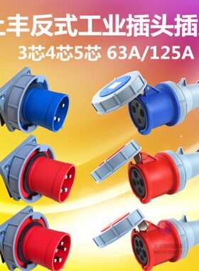 防水43芯5芯孔工业具 FS反5A输入63A针器式插头公E6h12母NFS-头针