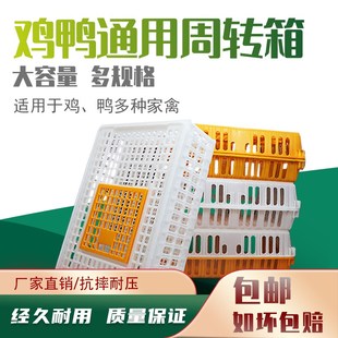 塑料家禽周转箱筐l鸡笼运输笼成鸡鸭鹅鸽子笼子家用大号兔笼养殖