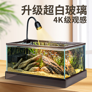 桌面造景水草生态鱼 南美风溪流缸家用客厅小型超w白玻璃鱼缸新款