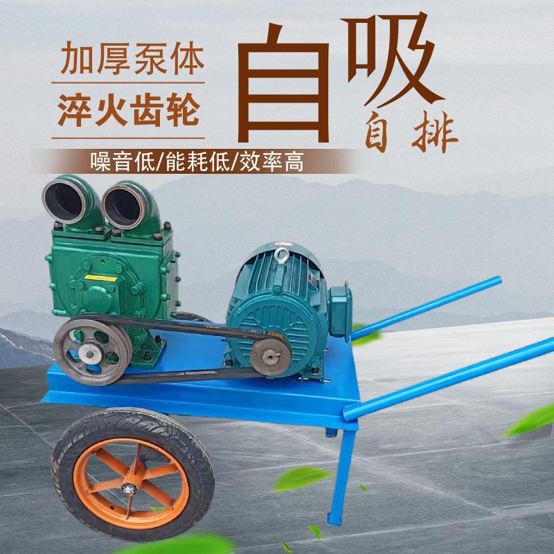河道下水道小型吸污泵养殖场鸡鸭猪牛抽粪泵手推式电动淤泥清理机