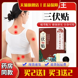 周佑王三伏保健贴布三伏贴艾叶白芥子花椒细辛牛黄甘遂