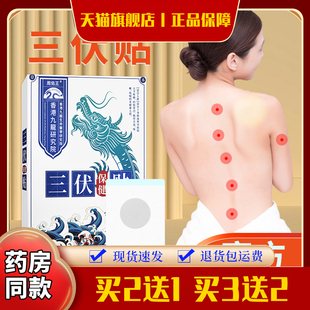 【药店同款】周佑王三伏贴三伏保健贴艾叶白芥子花椒细辛牛黄干姜