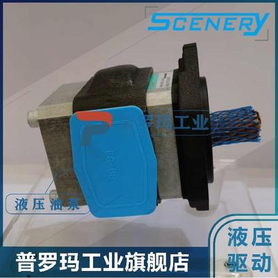 SCENERY塞纳瑞齿轮泵SNCB2/SNCB2A-06/08/11/13/19/22/25-1R-S12