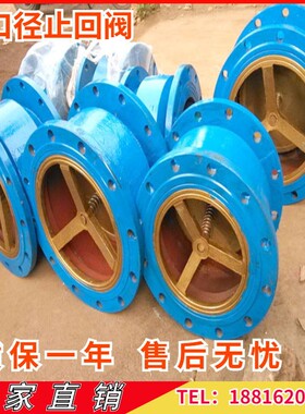 HC41X-16不锈钢芯法兰单向阀止逆阀铸D铁消声止回阀DN5010012