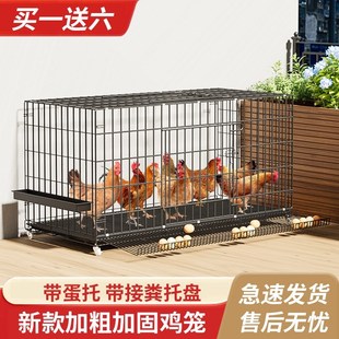 鸡笼子家用d养殖笼下蛋养鸡笼自动滚蛋大号特大号鸡窝鸡舍折叠鸡