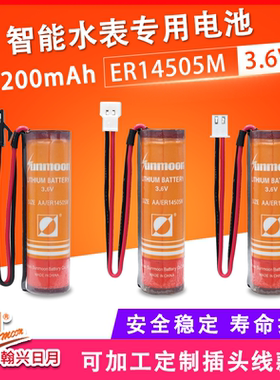 日月ER14505M 预付费IC智能水表 盛帆冷水表热水表 插卡式 家用水表 巡更棒 锂电池3.6V 5号AA大容量