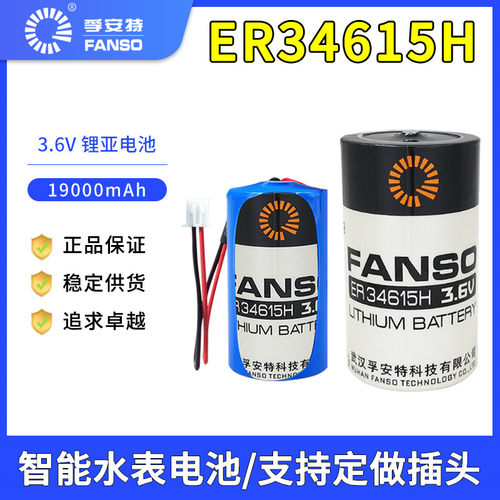 孚安特ER34615燃气表后备电源
