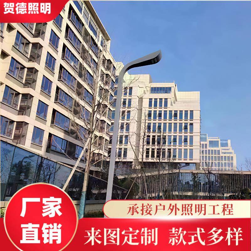 LED市电路灯杆市政道路6米双臂单臂LED路灯户外高低臂异型路灯