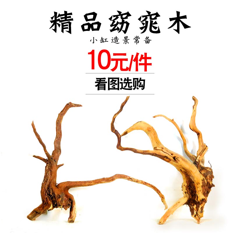鱼缸沉木造景木小号窈窕木栖根杜鹃根莫斯树雨林水陆缸水族箱装饰