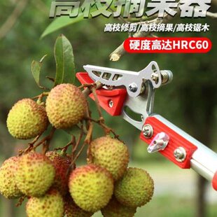 杨梅摘采果多功能修枝剪锯摘果器剪伸缩高树新款摘果剪高空高枝剪