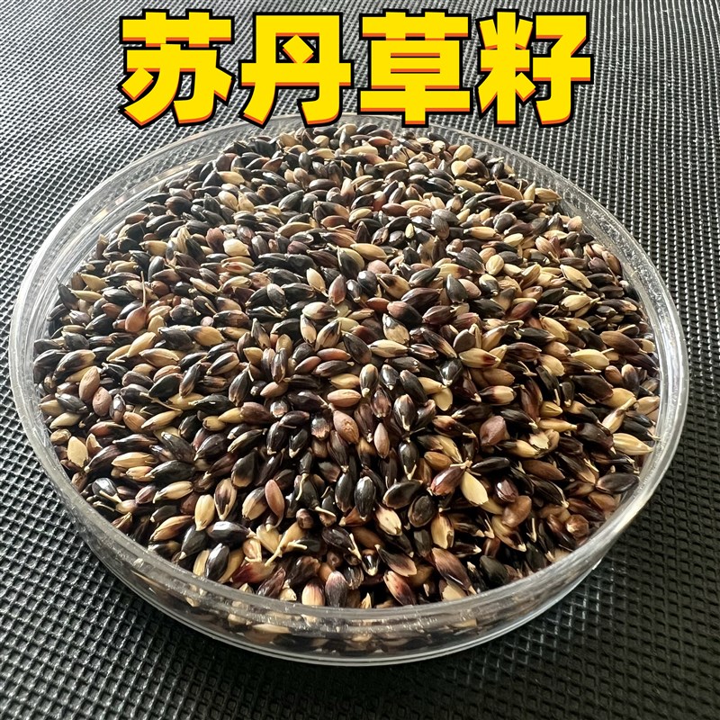 鸟食草子苏丹草籽芙蓉虎皮牡丹粮食鹦鹉粮珍珠鸟文鸟泽增肥零食