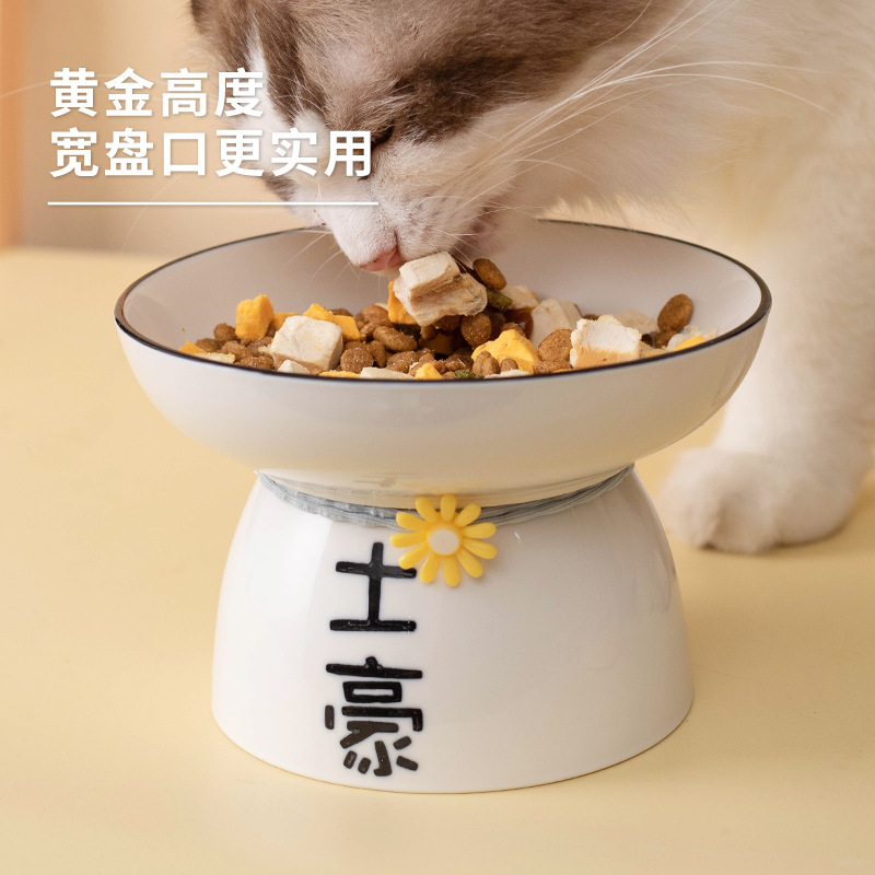 猫咪吃饭斜口碗陶瓷高脚猫碗猫盆食盆保护颈椎幼猫饭碗宠物喝水碗