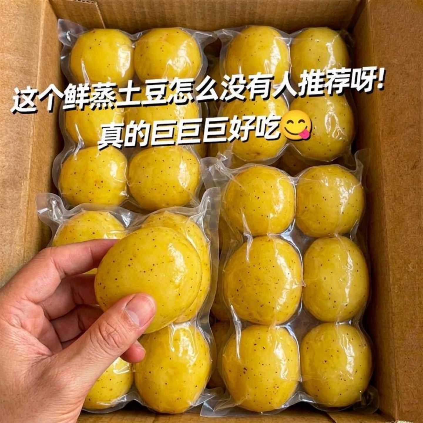 鲜蒸土豆即食方便代餐健身减脂