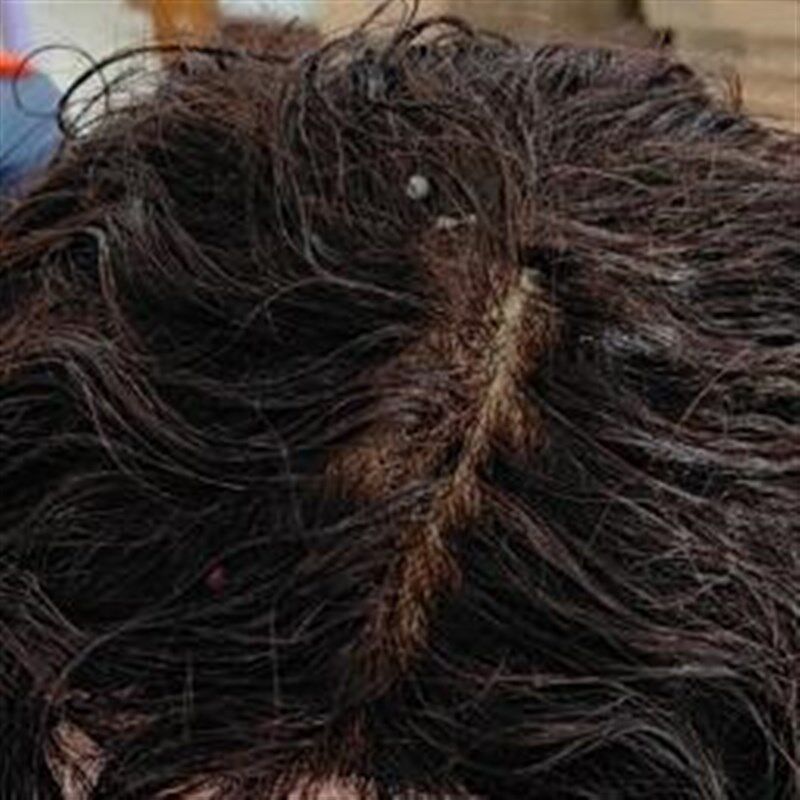 头顶补发真发假发片卷发羊毛卷透气全手织递针工艺遮白发妈妈假发