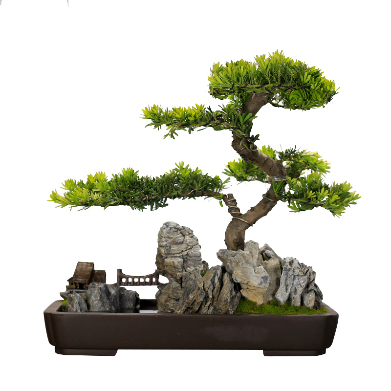 大型罗汉松盆景植物造型老桩迎客松真树室内办公室玄关盆栽绿植