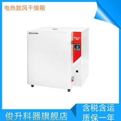 上海博迅BGG-38/78 /148 /248高温鼓风干燥箱 400℃高温烘箱