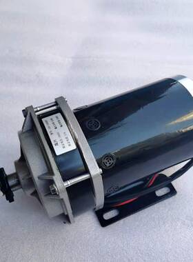 48V500W有刷减速永磁直流电机36V24V800W三轮车改装机械