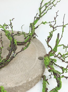 仿真青苔树藤枯藤装饰摆饰乾燥树枝藤蔓造景假藤条森系庭院绿植苔