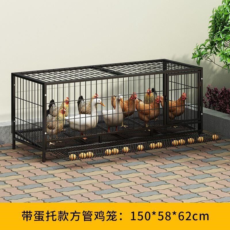 鸡笼子家用加粗大号养殖笼折叠鸭笼鹅笼狗笼自动滚蛋鸡笼直发