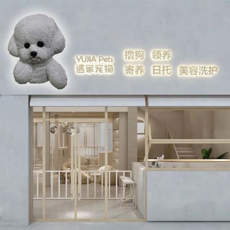 仿真泰迪壁挂宠物店门头装饰卡通动物柴犬可爱猫咪头网红立体墙饰