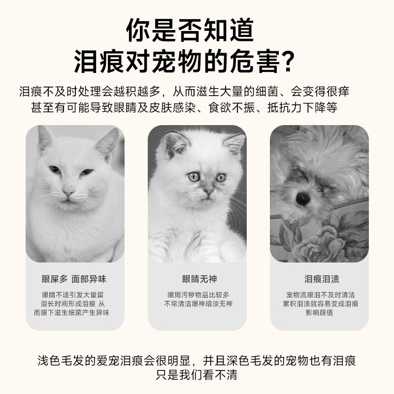eye envy天使眼猫用泪痕水宠物泪痕清洁擦眼睛加菲泪痕湿巾