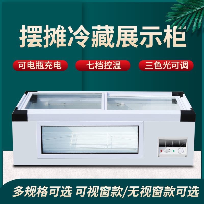 摆摊冰柜台式冷藏烧烤炸串展示柜移动三轮车地摊冷冻冰柜保鲜冷柜