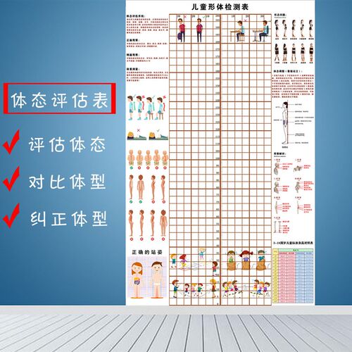 儿童体态身高评估表站姿体测网格背景墙纸幼小中青少年体测评估图