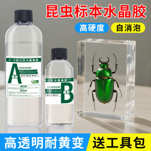 昆虫标本水晶滴胶高透环