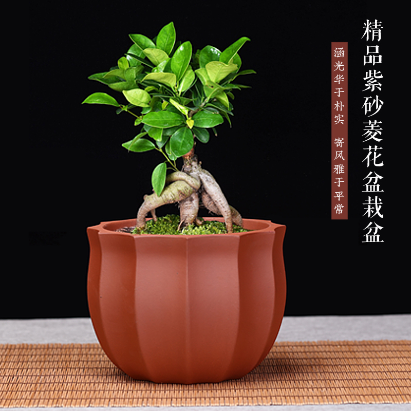 精品紫砂花盆小号古典兰花老桩悬崖多肉菖蒲桌面园艺绿植盆景包邮