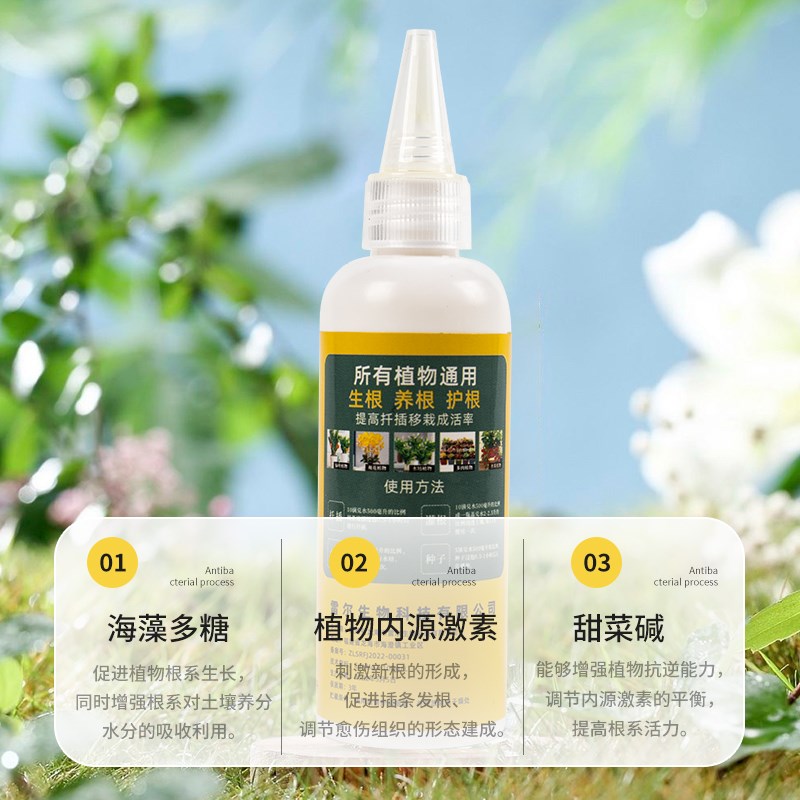 水培植物浓缩快速生根液移栽扦插生根剂生根壮苗剂通用型营养液