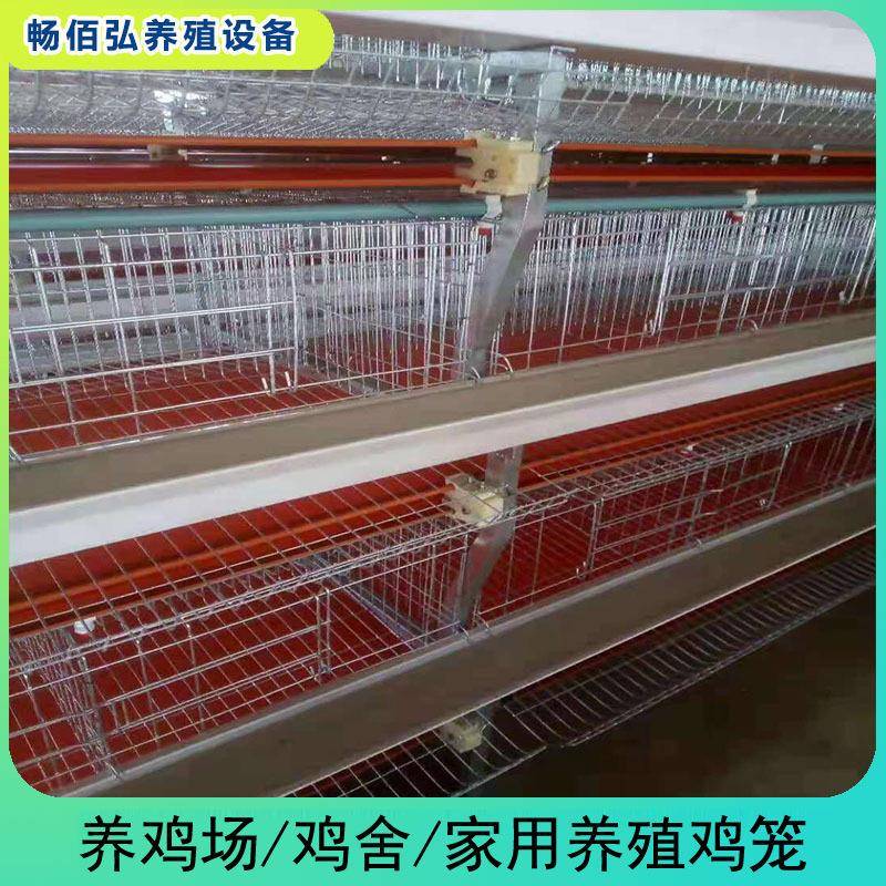 元宝肉鸡笼成年肉鸡笼全自动传送喂料清粪养殖肉鸡养殖笼可外贸