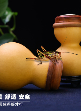 蝈蝈葫芦叫罐笼子蛐蛐罐文玩精品保温过冬摆件把件实木蒙心带铜胆