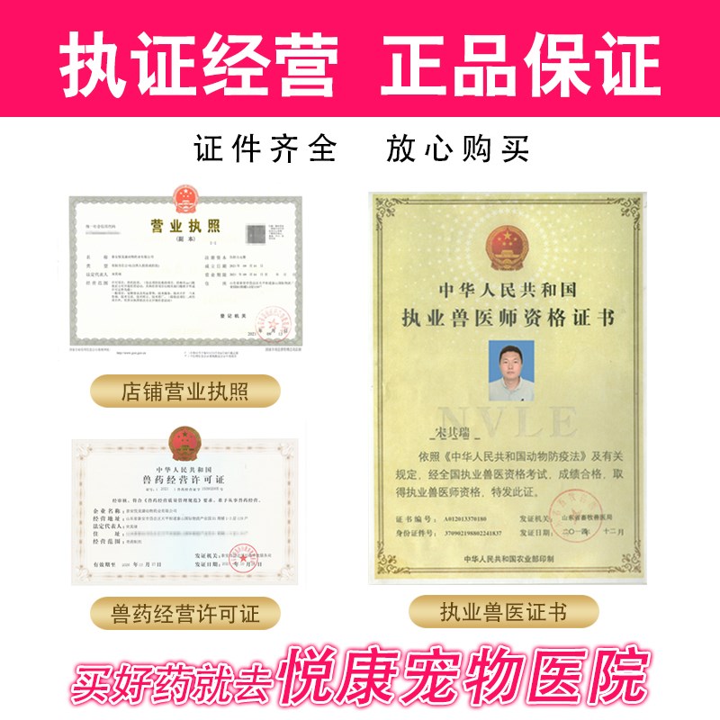 瘤历消大梆宠物狗狗猫咪体表脏器瘤肿菜花瘤子宫皮肤乳腺瘤瘤疠消