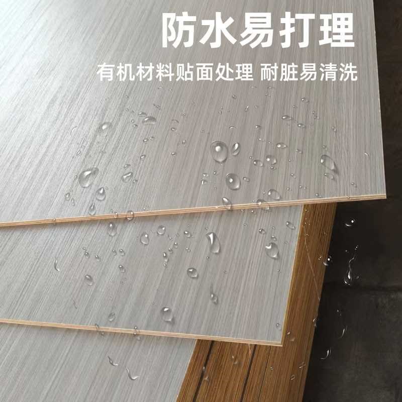 enf级板材实木免漆板生态板整张衣柜子书架家具多功能生态多层板