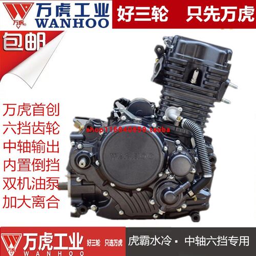 万虎中轴发动机2j50 300水冷发动机中轴三轮车发动机电喷发动机