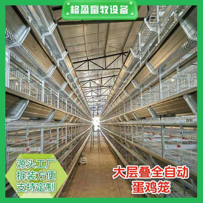 厂家直销全自动大层叠蛋鸡笼立式蛋鸡笼养鸡场养殖设备收蛋清粪,畜牧/养殖物资,特种养殖设备,淘宝优惠券,粉丝福利购,淘宝优惠卷