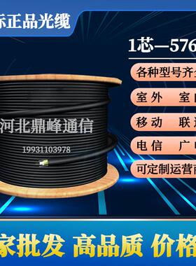 长飞 烽火 中天国标光缆12芯 24芯 48芯 96芯 144芯 288芯 GYTS/A