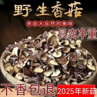 东北小香菇小个干庆元香菇批发干冬菇香干菇干货食材馅料油面菇