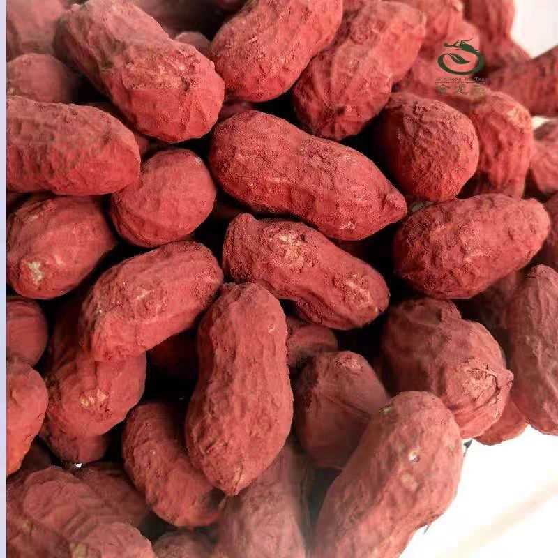 福建特产龙岩红泥花生龙岩湿烤花生奶香味香酥脆带壳花生闽西特产