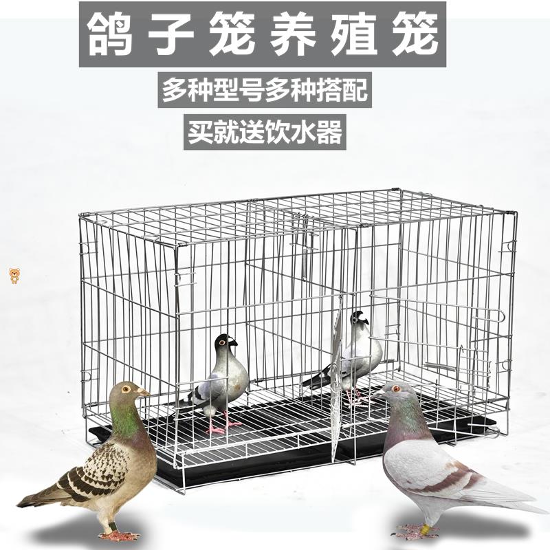 现货。加粗鸽子笼鸽子用品用具鸽子配对笼养殖笼子金属摺叠大