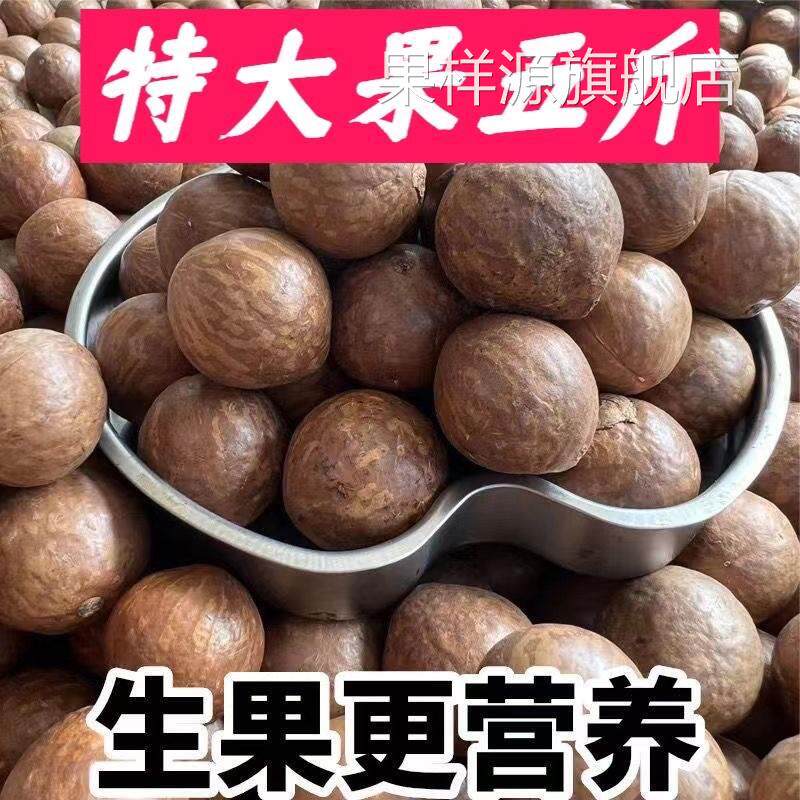 夏威夷果生果 未开口风干大果正宗云南永德大雪山原产地孕妇坚果