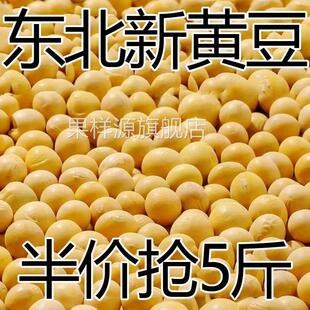 【5斤特价】东北新黄豆非转基因大豆打豆浆新鲜发豆芽10g
