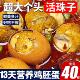 央妈推荐 活珠子开袋即食香辣13天新鲜活珠子无毛五香毛蛋旗舰店