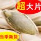 2025年新货南瓜子大粒特大500g盐焗炒货瓜子原味南瓜籽官方旗舰店