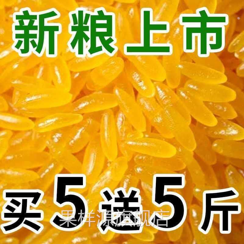 正宗东北黄金米新米正宗黄金大米伴侣五谷杂粮特产黄色的大米