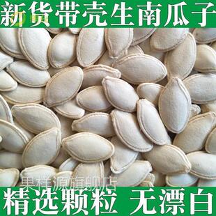 内蒙古特产带壳南爪子原味生的生南瓜籽大粒特大南瓜子散装兰瓜子