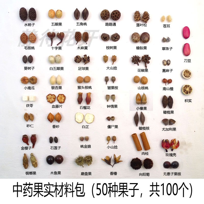 中药果实材料包肉桂香砂枳实幼儿园环创手工diy标本耳环果子材料