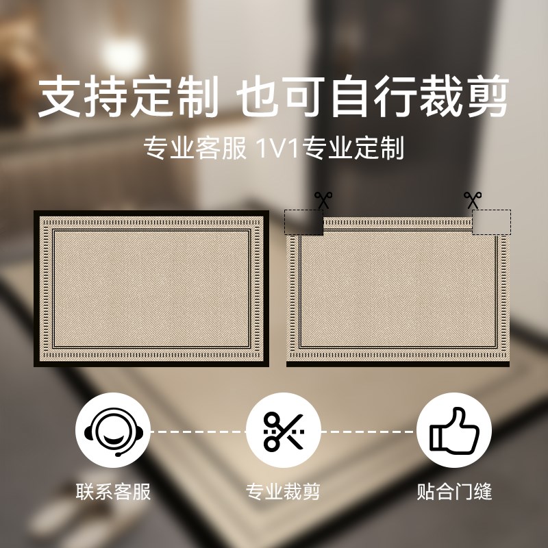 高级入户门地垫2025新款pvc可擦免洗玄关地毯进门口脚垫耐脏裁剪